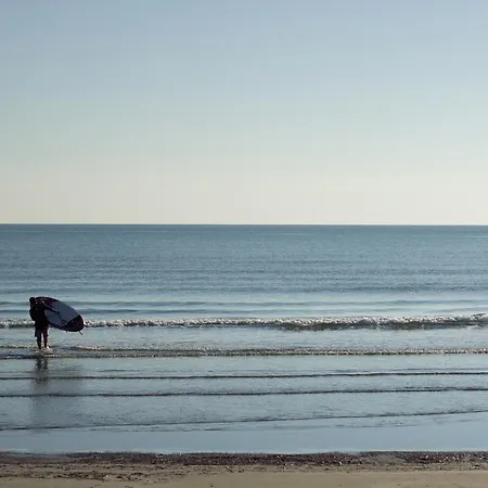 Lazuli 209 拉纳卡